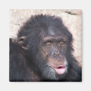 Aimant ooo ooo ooo drôle visage