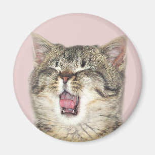 Aimant Open a dit le chaton du bout des lèvres