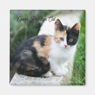 Aimant Opera Phantom Chat