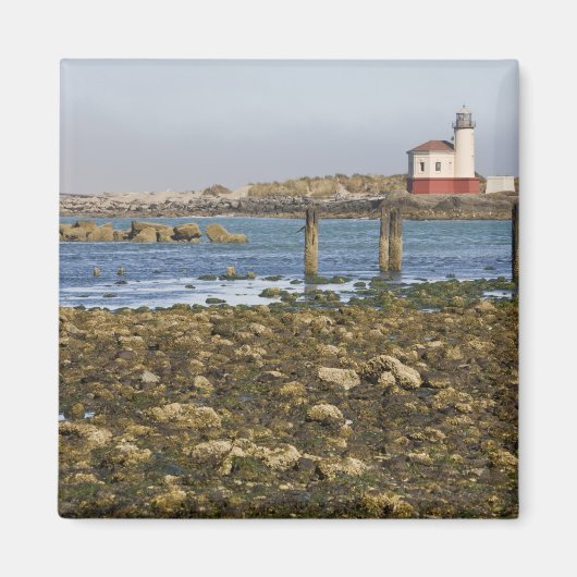 Aimant OR, côte de l'Oregon, Bandon, rivière Coquille (Devant)