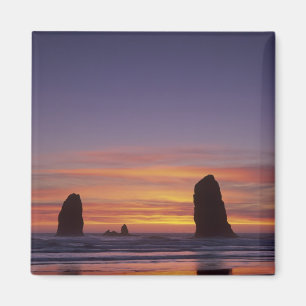 Aimant OR, côte de l'Oregon, Cannon Beach, piles de mer à