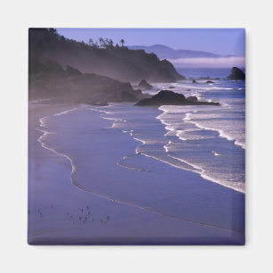 Aimant OR, côte de l'Oregon, Ecola SP, Indian Beach avec