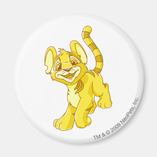 Aimant Or de Kougra