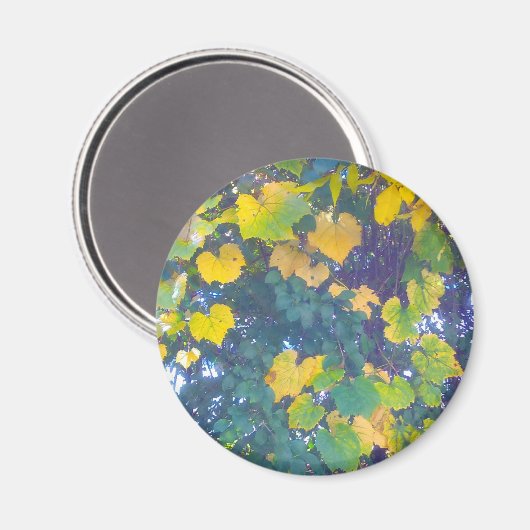 AIMANT OR FERMER (Recto/Verso)