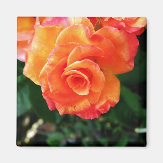 Aimant Orange (Devant)