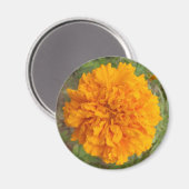 Aimant orangé (Recto/Verso)