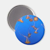 Aimant Orange (Recto/Verso)