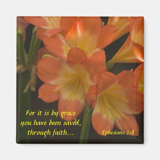 Aimant Orange Amaryllis (Devant)