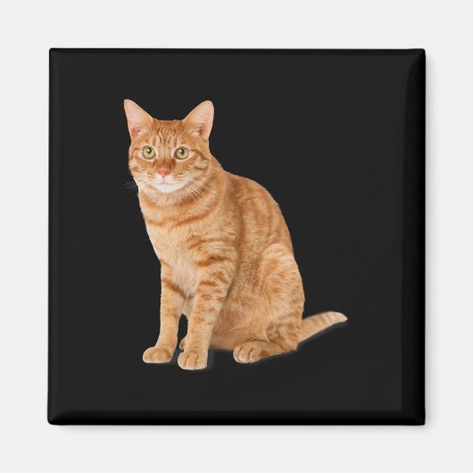 Aimant Orange Chat Tab Funny Chat Parodie Amoureux des ch (Devant)