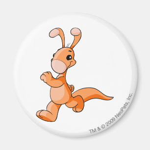Aimant Orange de Blumaroo