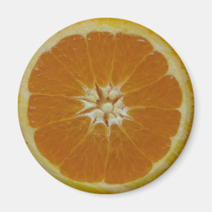 Aimant orange de tranche de fruit