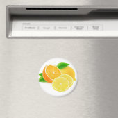 Aimant Orange et citron (In Situ (Lave-vaisselle))