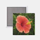 Aimant Orange Hibiscus Fleur Tropical Floral (Recto/Verso)