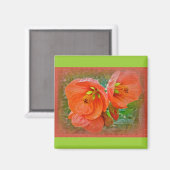 Aimant Orange Hibiscus Fleurs (Recto/Verso)