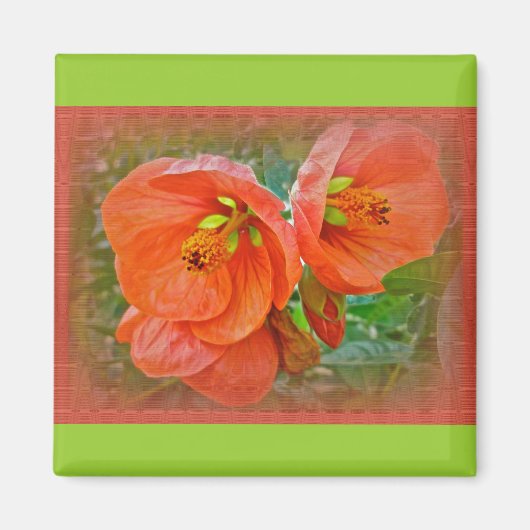 Aimant Orange Hibiscus Fleurs (Devant)