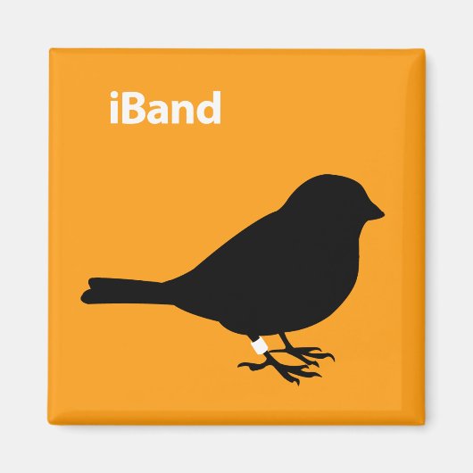 Aimant Orange iBand (Devant)