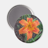 AIMANT ORANGE LILY FLOWEREE (Recto/Verso)