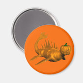 Aimant Orange Seadragon (Recto/Verso)