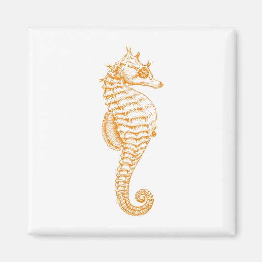 Aimant Orange Seahorse (Devant)