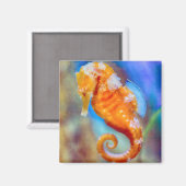 Aimant Orange Seahorse délice (Recto/Verso)