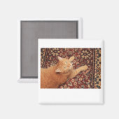 Aimant Orange Tabby (Recto/Verso)