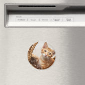 Aimant Orange Tabby Kitten (In Situ (Lave-vaisselle))