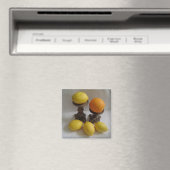 Aimant Oranges et citrons (In Situ (Lave-vaisselle))