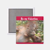 Aimant Orangutan Baby Valentine's Day (Recto/Verso)