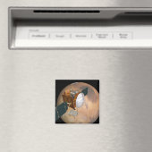 Aimant Orbiter de télécommunications Mars 2 (In Situ (Lave-vaisselle))