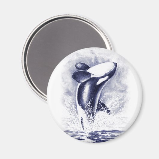 Aimant Orca Breaching (Recto/Verso)