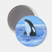 Aimant Orca orque (Recto/Verso)