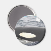 Aimant Orca Tête de baleine tueuse - Oval (Recto/Verso)