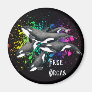 Aimant Orca Whales Aquarelle Noir