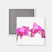 Aimant Orchidée (Recto/Verso)
