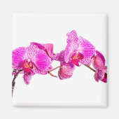 Aimant Orchidée (Devant)