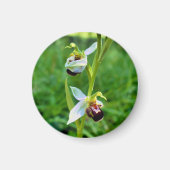 Aimant Orchidée (Devant)