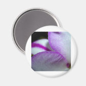 Aimant Orchidée (Recto/Verso)