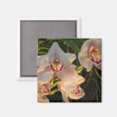 Aimant Orchidée (Recto/Verso)
