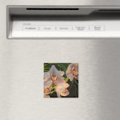 Aimant Orchidée (In Situ (Lave-vaisselle))