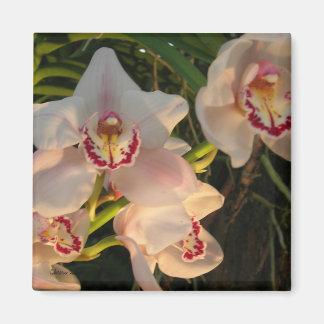 Aimant Orchidée