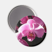 aimant orchidée (Recto/Verso)