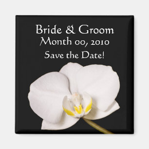 Aimant Orchidée blanche sur le noir