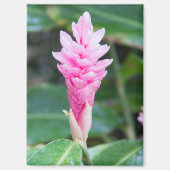 Aimant Orchidée brésilienne rose (Recto)