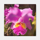 Aimant Orchidée Cattleya Rouge Rose (Devant)