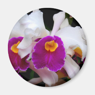 Aimant Orchidée de Cattleya - blanc/violet
