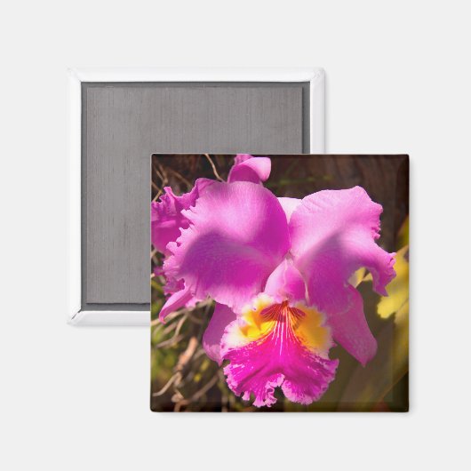 Aimant Orchidée de Cattleya Crimson rose (Recto/Verso)