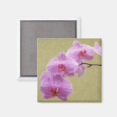 Aimant Orchidée de Phalaenopsis (Recto/Verso)