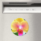 Aimant Orchidée d'or par fleurs électriques (In Situ (Lave-vaisselle))