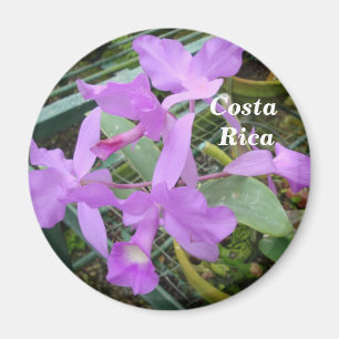Aimant Orchidée — Fleur nationale du Costa Rica