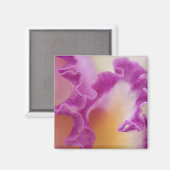 Aimant Orchidée hybride en gros plan, Delray Beach, Flori (Recto/Verso)